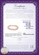 product certificate: P-AAAA-758-B