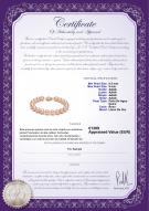 product certificate: P-AAAA-89-B