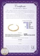 Certificado de producto: SSEA-G-N-C304