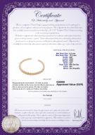 product certificate: SSEA-G-N-C307