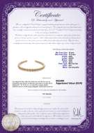 Certificado de producto: SSEA-G-N-C313