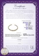 Certificado de producto: SSEA-MULTI-N-C321