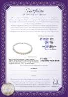 Certificado de producto: SSEA-W-AAA+-1114-N