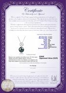 product certificate: TAH-B-AA-1213-P-Klara