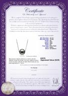 product certificate: TAH-B-AA-1213-P-Kristine
