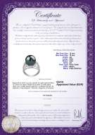 product certificate: TAH-B-AA-1213-R-Alva