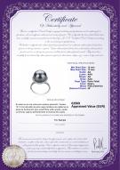 product certificate: TAH-B-AA-1213-R-Yanaka