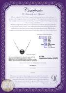 Certificado de producto: TAH-B-AA-89-P-Kristine