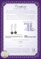 product certificate: TAH-B-AAA-1011-E-Olivia