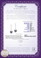 product certificate: TAH-B-AAA-1011-E-Porsha