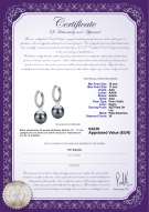 product certificate: TAH-B-AAA-1011-E-Rosalind