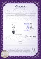product certificate: TAH-B-AAA-1011-P-Bridget