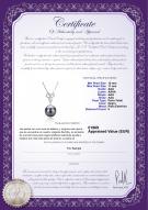 product certificate: TAH-B-AAA-1011-P-Dorothy