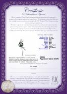 product certificate: TAH-B-AAA-1011-P-Florence
