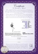 product certificate: TAH-B-AAA-1011-P-Florence