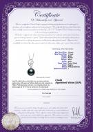 product certificate: TAH-B-AAA-1011-P-Hilary