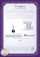 product certificate: TAH-B-AAA-1011-P-Hilary