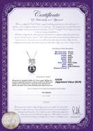 product certificate: TAH-B-AAA-1011-P-Marte