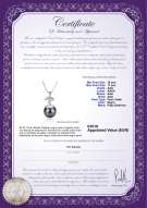 Certificado de producto: TAH-B-AAA-1011-P-Maude