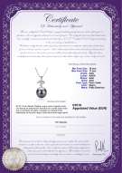 product certificate: TAH-B-AAA-1011-P-Maude