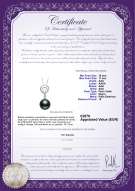 product certificate: TAH-B-AAA-1011-P-Meredith