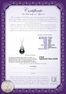 product certificate: TAH-B-AAA-1011-P-Romola