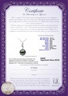 product certificate: TAH-B-AAA-1011-P-Seductive