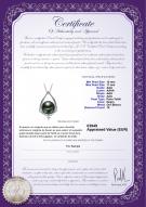 product certificate: TAH-B-AAA-1011-P-Susan