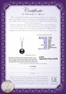 product certificate: TAH-B-AAA-1011-P-Talitha