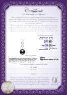Certificado de producto: TAH-B-AAA-1011-P-Virginia