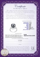 product certificate: TAH-B-AAA-1011-R-Maddie