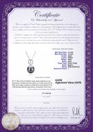 product certificate: TAH-B-AAA-1112-P-Aurora