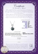 product certificate: TAH-B-AAA-1112-P-Tatiana