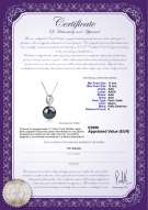 product certificate: TAH-B-AAA-1112-P-Trish