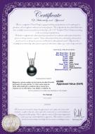 product certificate: TAH-B-AAA-1213-P-Colette