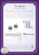 product certificate: TAH-B-AAA-89-E-Eva