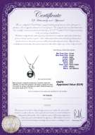 Certificado de producto: TAH-B-AAA-89-P-Dionne