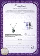 product certificate: TAH-B-AAA-89-P-Vivian