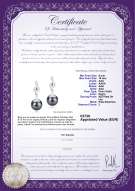 Certificado de producto: TAH-B-AAA-910-E-Cheryl