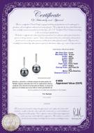 product certificate: TAH-B-AAA-910-E-Janet