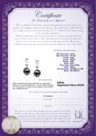 product certificate: TAH-B-AAA-910-E-Kiyam