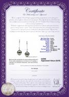 product certificate: TAH-B-AAA-910-E-Simplicity