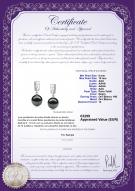 product certificate: TAH-B-AAA-910-E-Zuella