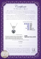 product certificate: TAH-B-AAA-910-P-Adelina