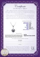 product certificate: TAH-B-AAA-910-P-Ailani