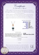 product certificate: TAH-B-AAA-910-P-Pamela