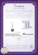 product certificate: TAH-B-AAA-910-P-Sierra