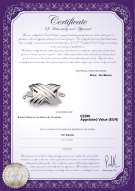 Certificado de producto: W-18K-Oxford-Clasp