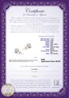 Certificado de producto: W-78-E