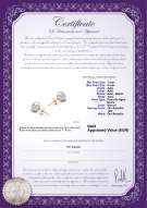 product certificate: W-78-E